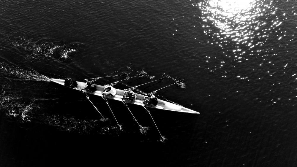 DUAL Aqua - rowers on the water 